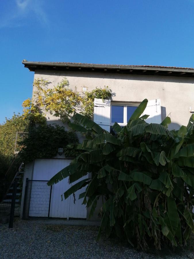 Le Grenier De Gaston Apartamento Thouars-sur-Garonne Exterior foto